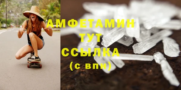 ГАЛЛЮЦИНОГЕННЫЕ ГРИБЫ Алексин