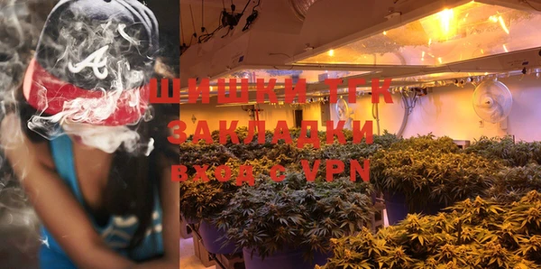 ГАЛЛЮЦИНОГЕННЫЕ ГРИБЫ Алексин