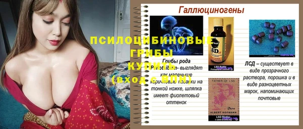 ГАЛЛЮЦИНОГЕННЫЕ ГРИБЫ Алексин