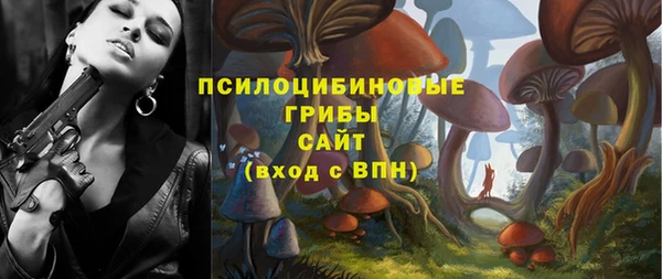соль курить ск Алексеевка